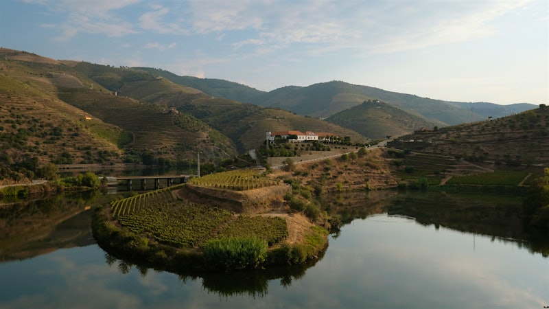 New Wine Documentary ‘A Wonderful Kingdom’ Explores Douro Valley Traditions