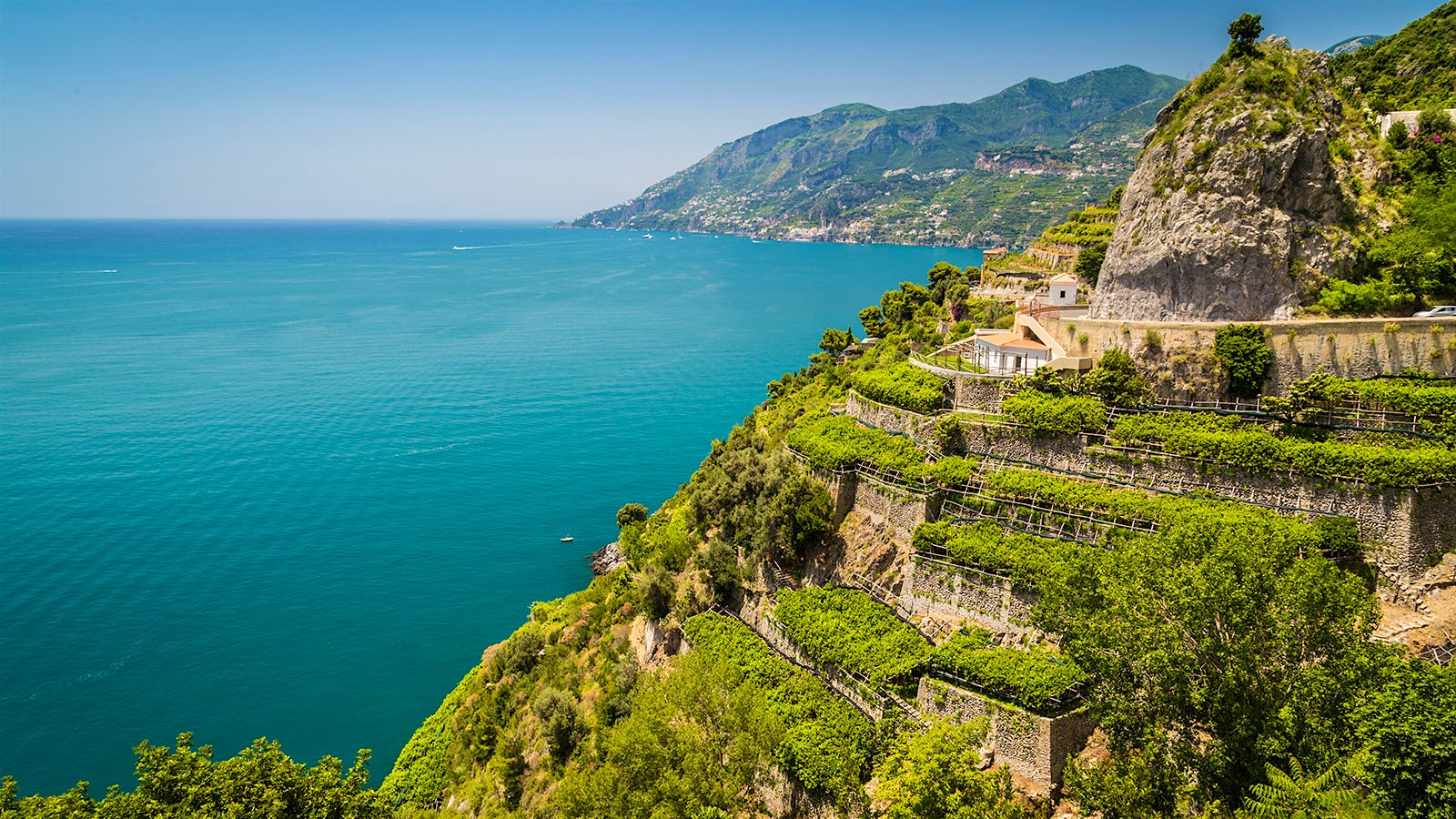 Terraced vineyards on the Amalfi Coast, along the Gulf of Salerno on a sunny day with blue sky in summer.
