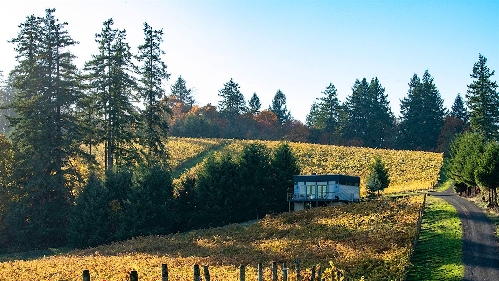 Tasting Highlights: 10 Outstanding West Coast Pinot Noir Wines