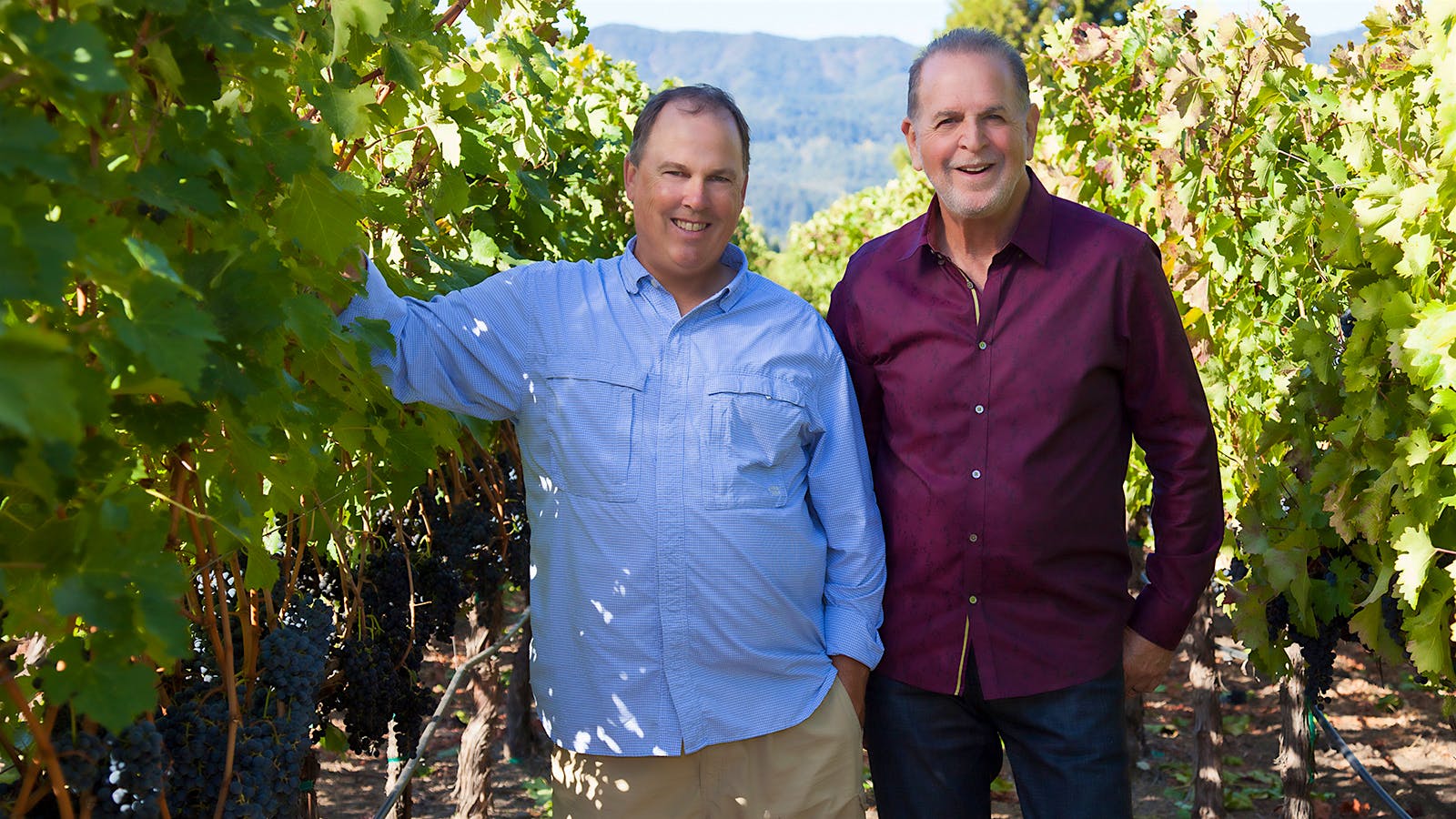 SND: Treasury Wine Estates Buys Frank Family Vineyards, Expanding Napa Holdings