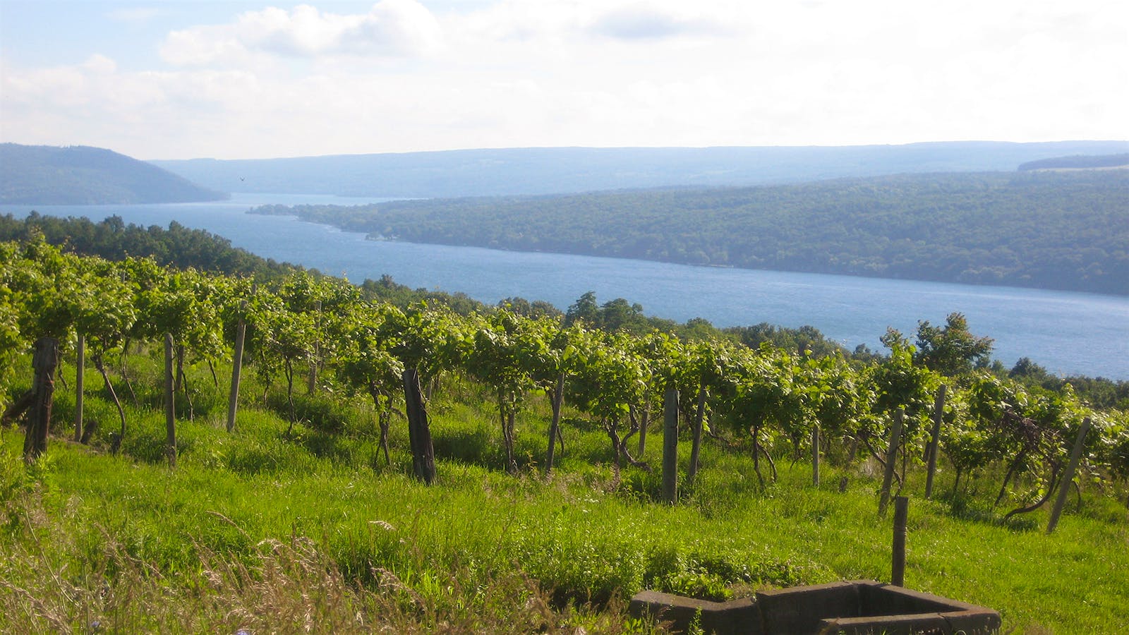13 Thrilling Finger Lakes Rieslings Up to 93 Points