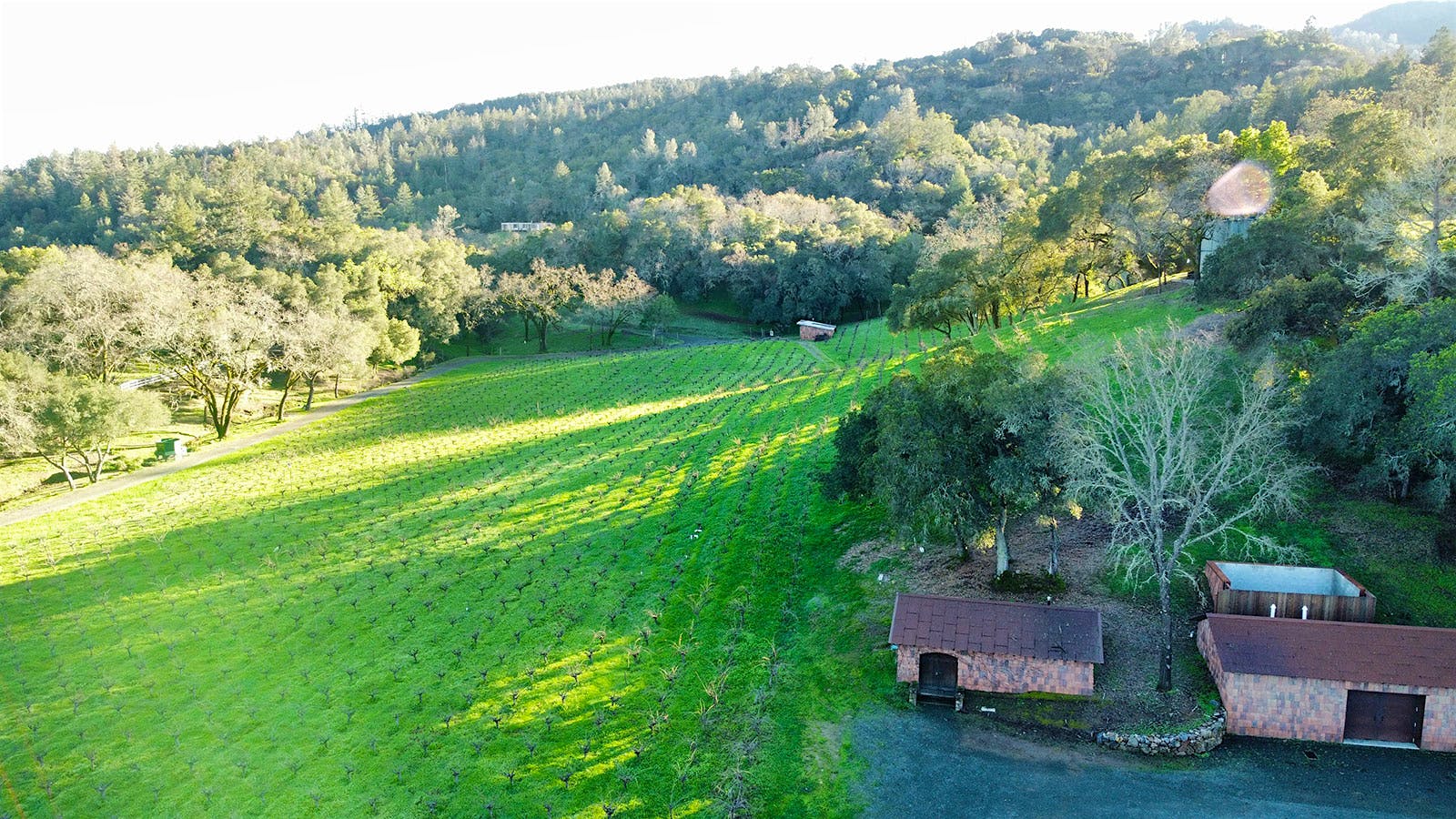 Joel Gott Wines Buys Napa's Historic Edge Hill Winery