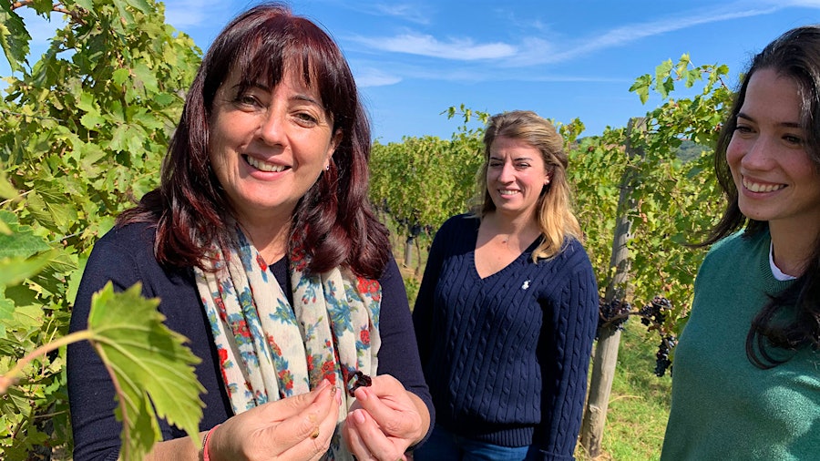 When sampling grapes in the vineyard at Le Potazzine, Gigliola Giannetti and her daughters Viola and Sofia (from left to right) examine the viscosity of the juice, not just the taste and chemical analysis.