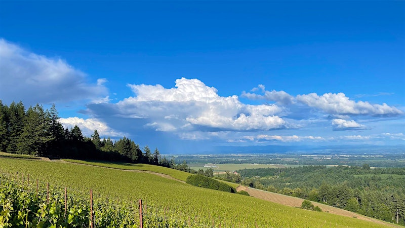 Burgundy's Louis Jadot Expands Its Oregon Footprint