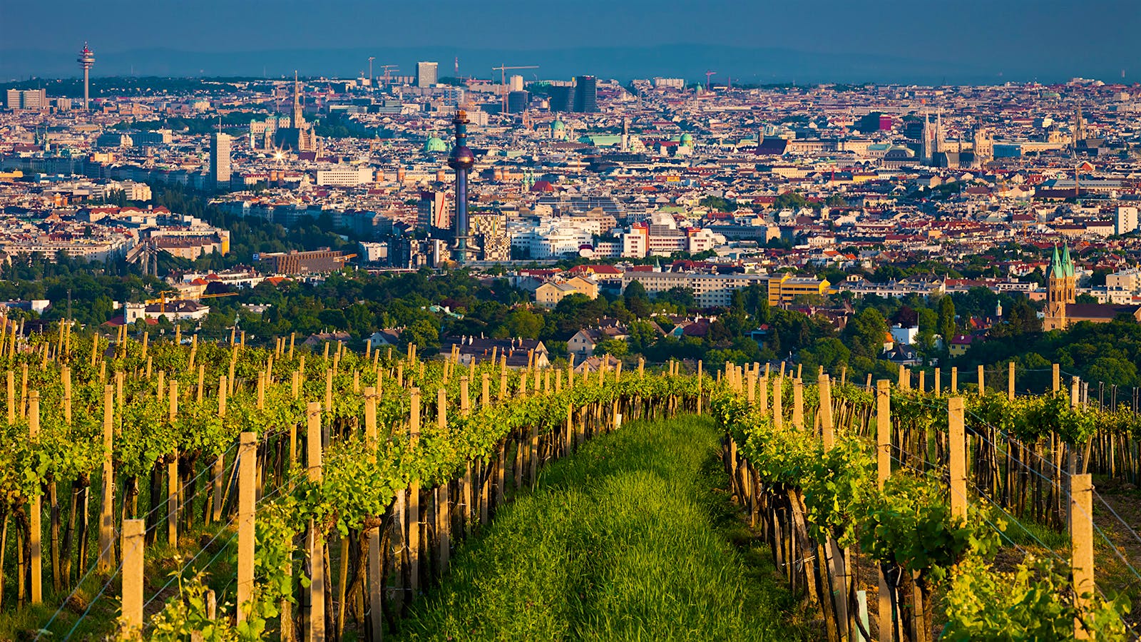 City Sipping: A Wine Capitals Quiz, Old World Edition