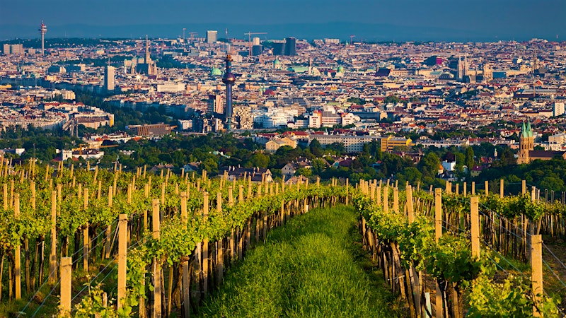 City Sipping: A Wine Capitals Quiz, Old World Edition