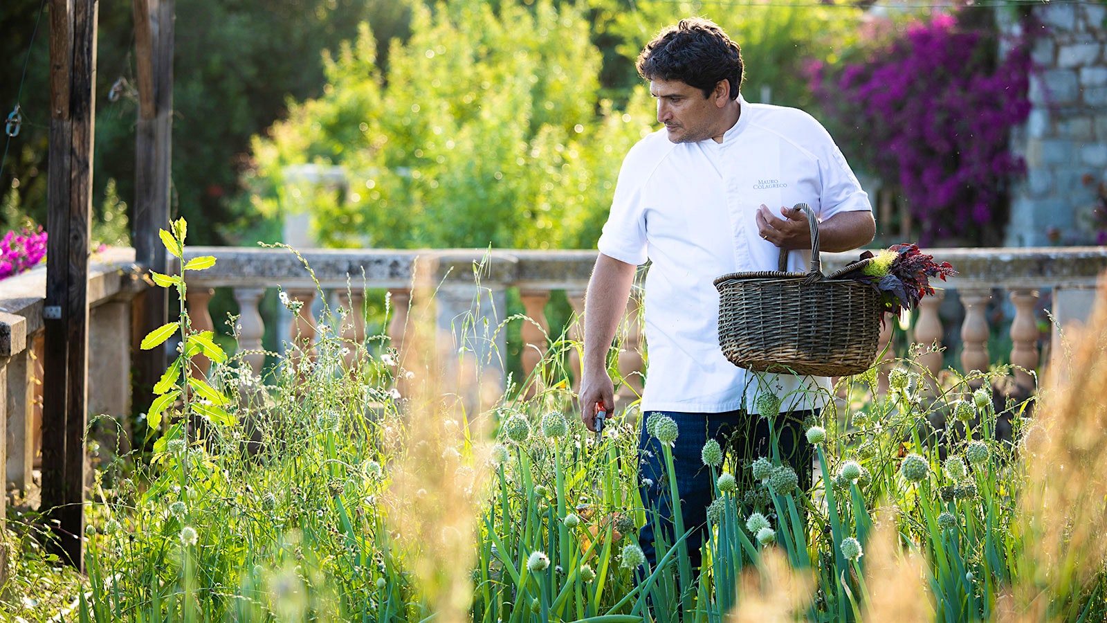  Mirazur chef Mauro Colagreco selecting herbs and greens from a garden