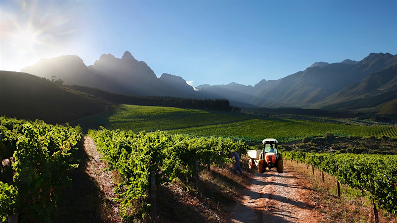 9 Stellar South African Wines Up to 92 Points