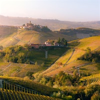 The expressive 2012 vintage for Barolo shows extraordinary potential, complexity, richness and finesse, says Franco Massolino.2012 Barolo Retrospective: A Year of Extremes
