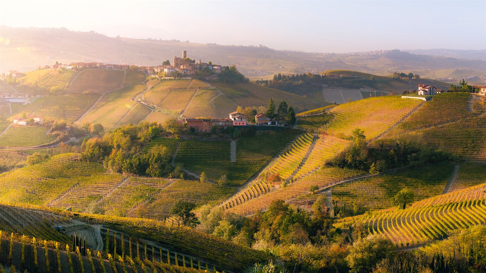 2012 Barolo Retrospective: A Year of Extremes