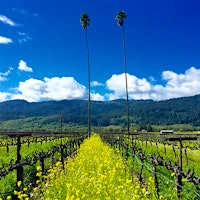Duckhorn's Three Palms Vineyard is one of Napa's best-known sources of Cabernet and Merlot.95-Point Napa Cabernet and Italian Reds