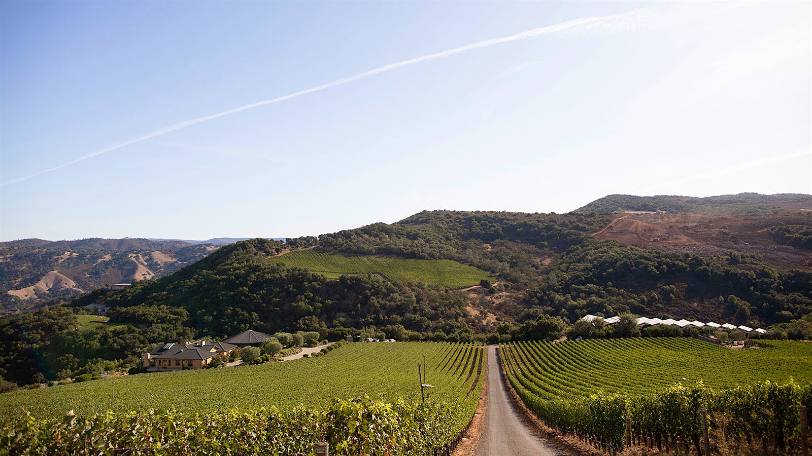 Insider Weekly: June 29 Edition