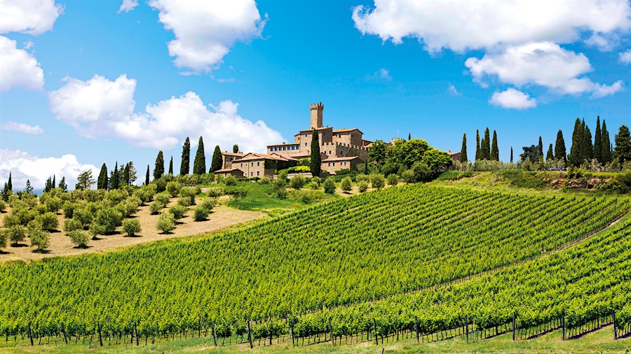 A leading producer of collectible Brunello di Montalcino, Castello Banfi also makes an array of affordable Tuscan wines.
