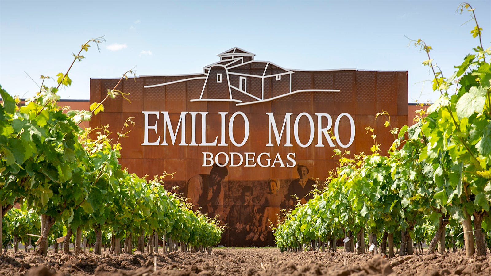 Insider Weekly: July 6 Edition