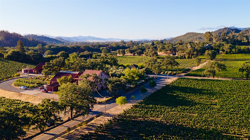 Patiently Proactive: Laura Diaz Is Reshaping Ehlers Estate