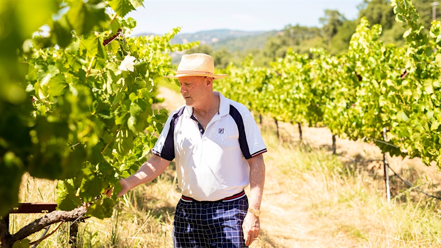 Mark Lyon fell in love with wine visiting Europe, and now is a passionate advocate for organic and biodynamic farming.