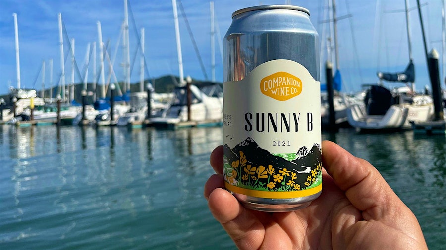 Companion Wine Co.'s Sunny B was the top-scoring wine among the canned wines tasted for this report.