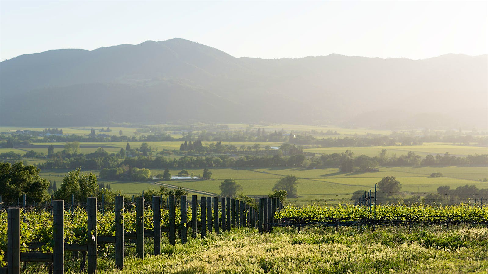 Insider Weekly: Aug. 24 Edition