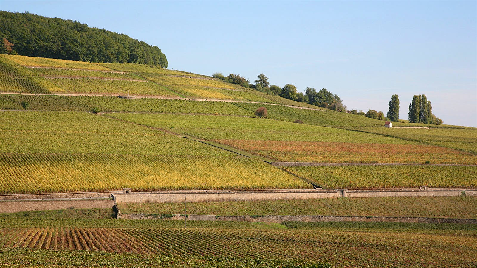 Insider Weekly: Aug. 10 Edition