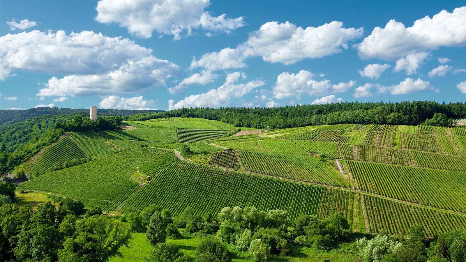 Insider Weekly: Aug. 31 Edition