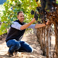Beaulieu Vineyard winemaker Trevor Durling inspects a row of Cabernet vines.New Beaulieu: Righting the Ship at a Napa Cabernet Legend