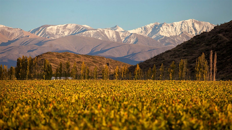 8 Tempting Argentine Values Up to 92 Points
