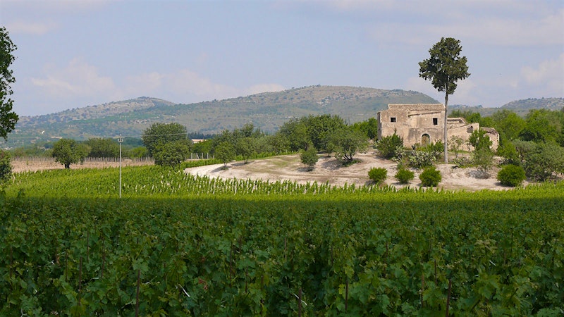 8 Dazzling Sicilian Wines Up to 91 Points