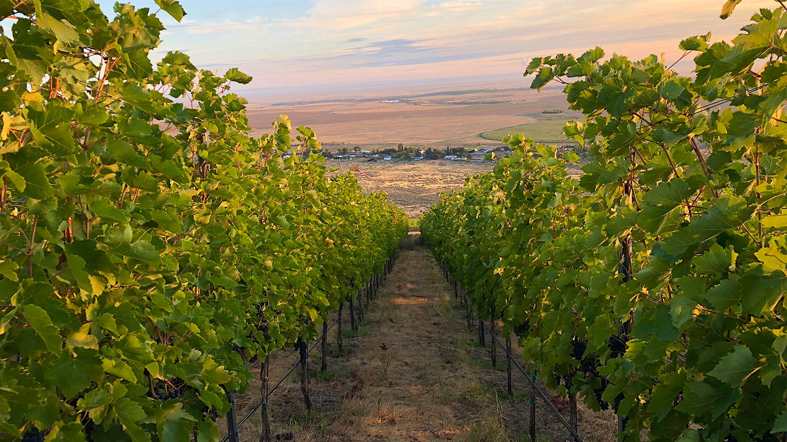 Insider Weekly: Sept. 14 Edition