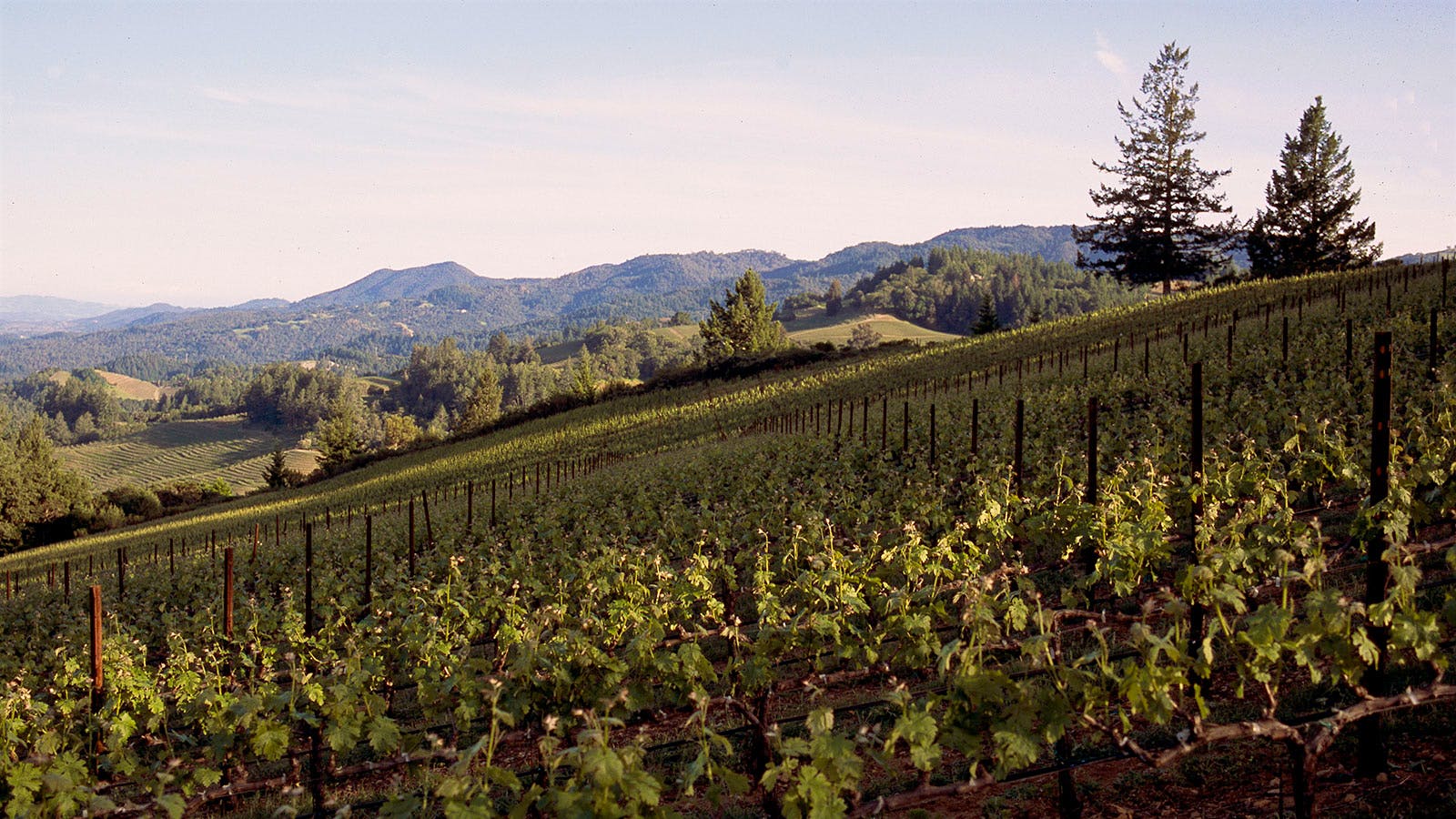 Insider Weekly: Sept. 7 Edition