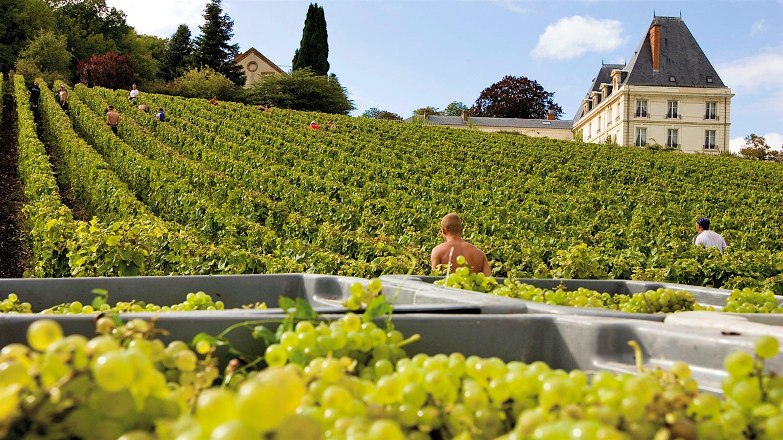 Insider Weekly: Sept. 28 Edition