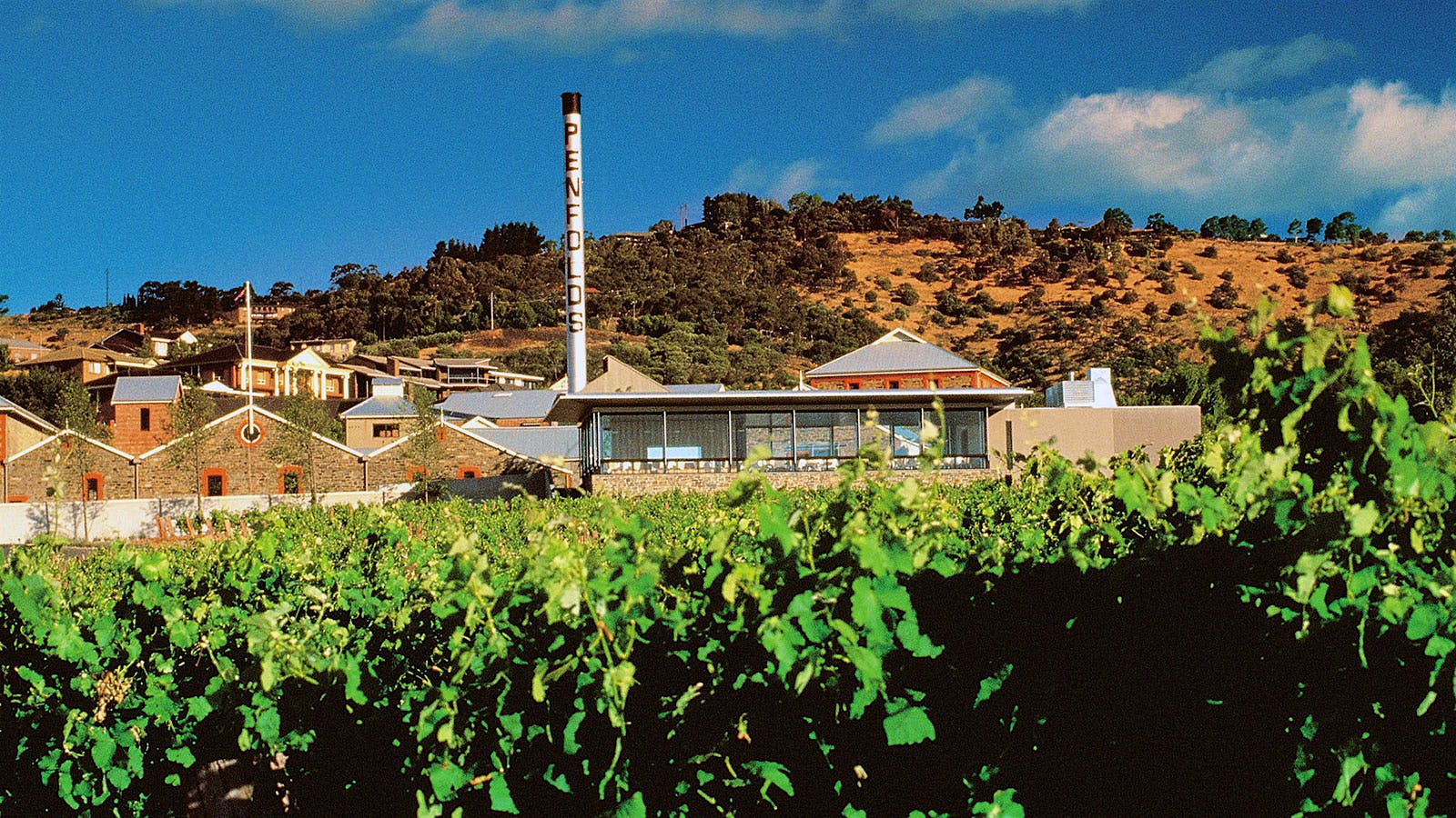 Insider Weekly: Sept. 21 Edition