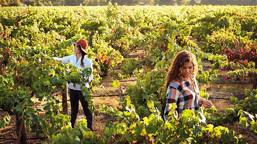 Robin and Andréa McBride, whose McBride Sisters label made several top wines in this report