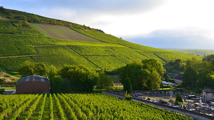 For generations, Domaine Henri Bourgeois has made wine from some of Sancerre's finest vineyard sites.