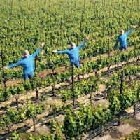 A man, shown three times in a row, sings in vineyard in a still from 2022 video contest winner "Cabernet Tonight"2022 Video Contest Winners Revealed!