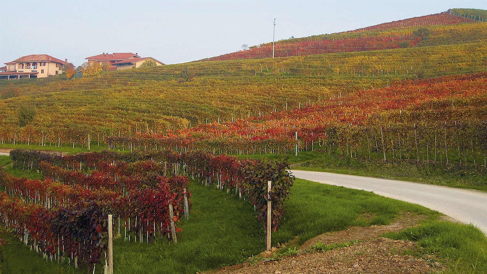 Insider Weekly: Oct. 12 Edition