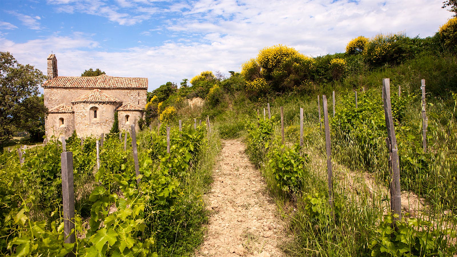 8 Côtes du Rhône Stunners Up to 92 Points