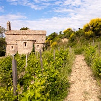 Based in the village of Gigondas, Château de Saint Cosme is one of the Southern Rhône's leading names.8 Côtes du Rhône Stunners Up to 92 Points