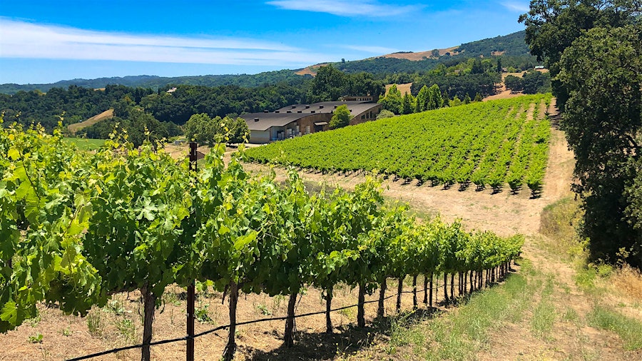 Denner Vineyards has vines in two prime areas of Paso Robles, giving Gallo a source for premium Rhône- and Bordeaux-blends.