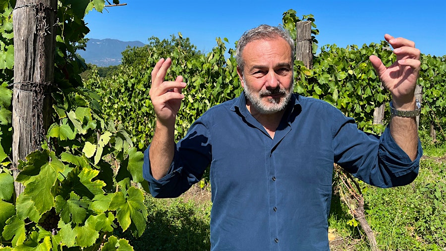 Roberto di Meo makes four different Fiano wines from the 50 acres of vines on his family estate, along with other wines from leased vineyards in the Irpinia region.