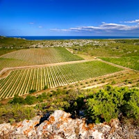 With estates throughout the region, vintner Gérard Bertrand has helped establish the global reputation for Languedoc-Roussillon and its wines.9 Southern French Reds at 90+ Points