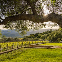 Seven Stones is named for the massive sculpture at the center of the grounds and three-acre vineyard, part of an impressive art collection.Unidentified Firm Buys Napa's Seven Stones Winery for $34 Million