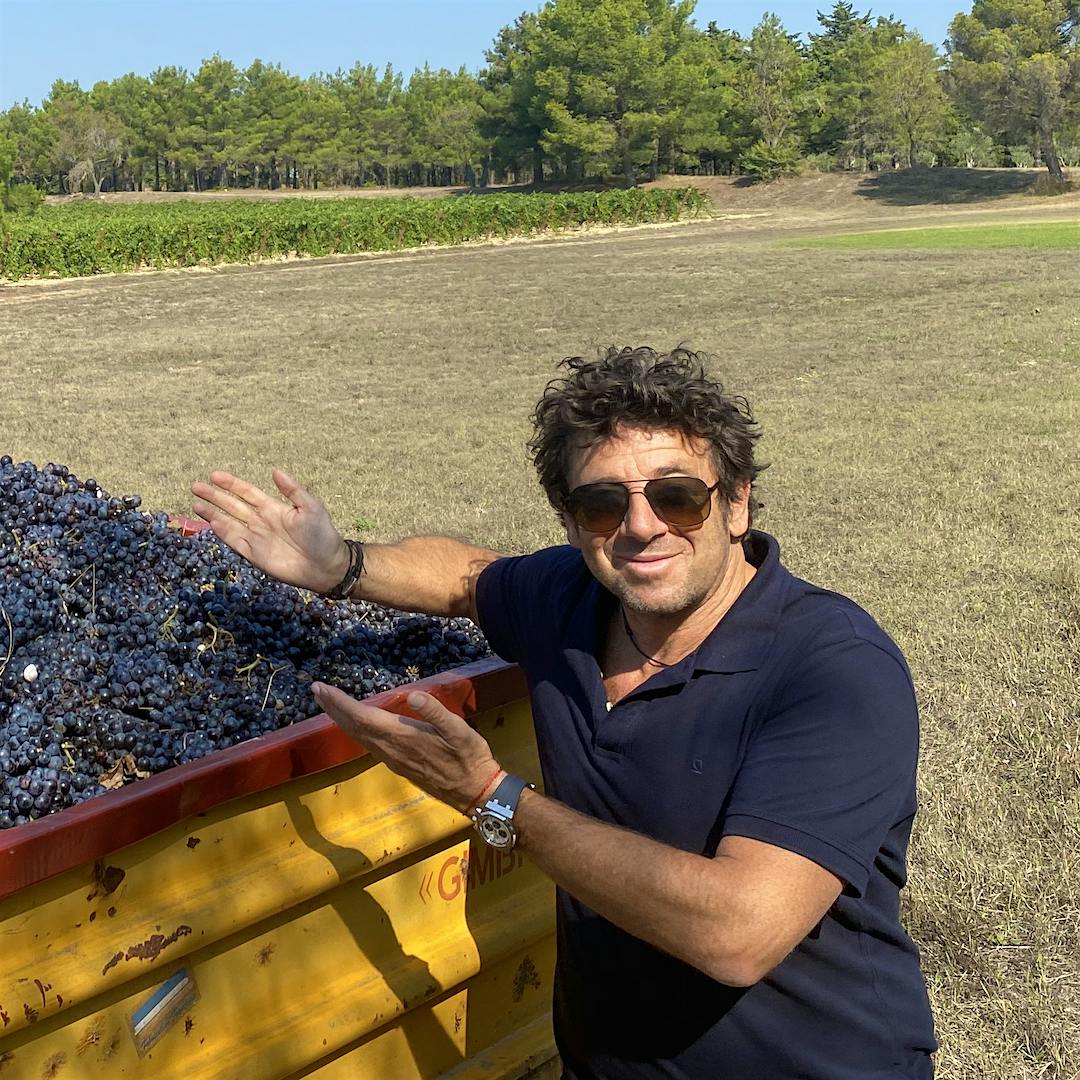 French singer-actor-poker pro Patrick Bruel inspects his Grenache harvest in Provence for Domaine de Leos.