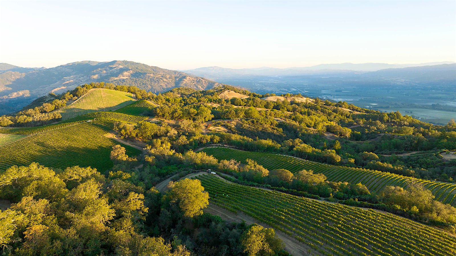 Bonterra Bets Big on Regenerative Farming with New Line of Eco-Friendly Wines