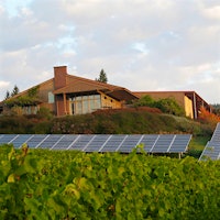 Bethel Heights winery in Oregon, with vines and solar panelsOutstanding Napa Cabernets, 95-Point Barolo