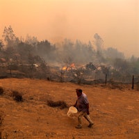 A man tries to contain a fire in Santa Juana, Concepcion province, Chile, as wildfires blaze across the region, threatening towns and vineyards.Wildfires Threaten Some of Chile's Oldest Vines