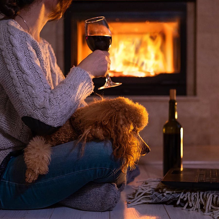 From scintillating sparklers to sunshine-filled reds, these are wine pros' best picks to ward off winter blues