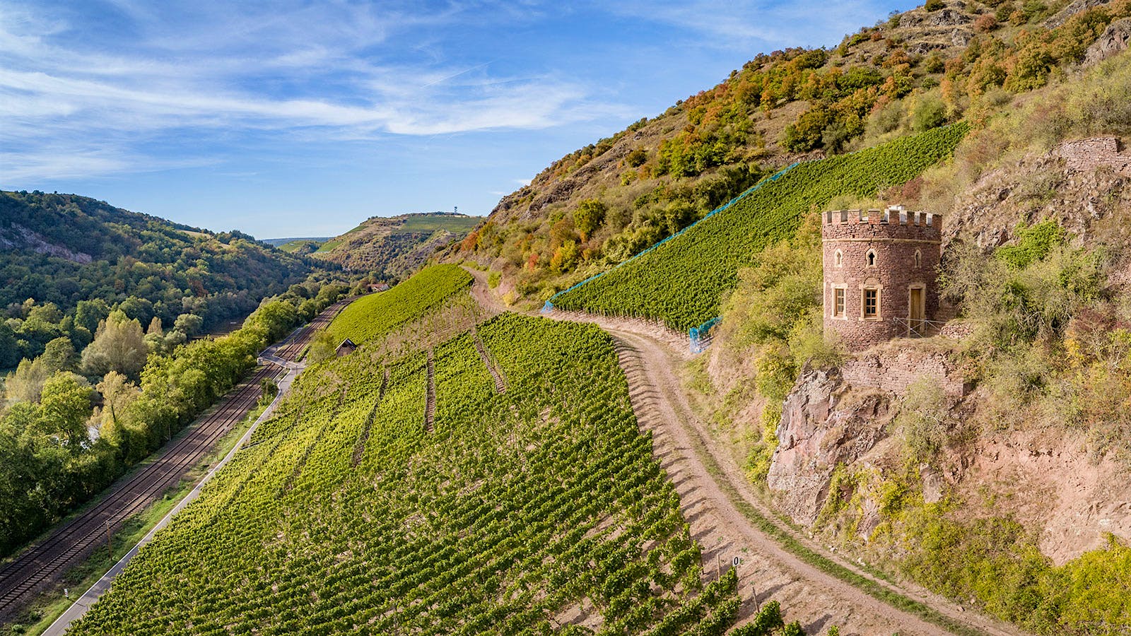8 Charming German Rieslings Up to 91 Points