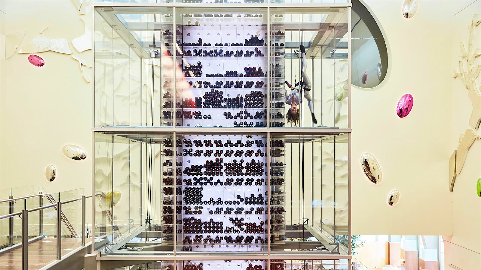  A glass display of the wines at Aureole, with an acrobat retrieving a bottle from a high shelf