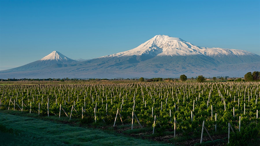 This vineyard is home to Armenia's national grapevine collection, where scientists found fascinating information about grapegrowing in the Caucasus.