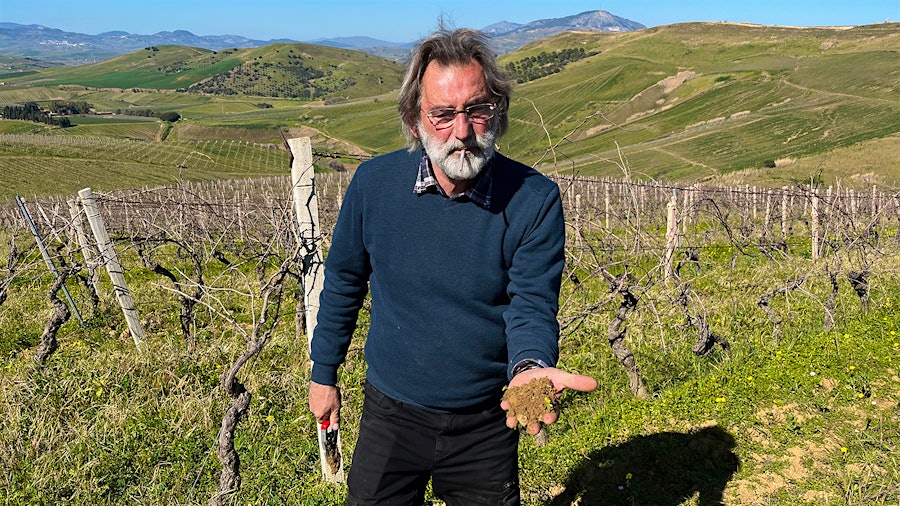 Francesco Spadafora enjoys tending the vines and soil at Dei Principi di Spadafora in northwestern Sicily more than handling the sales side of the wine business.